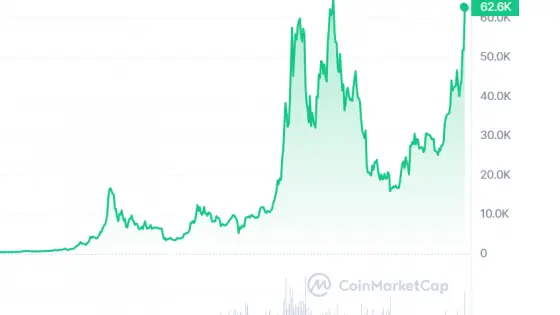 The value of Bitcoin has been skyrocketing recently. Photo: screenshot of coinmarketcap.com